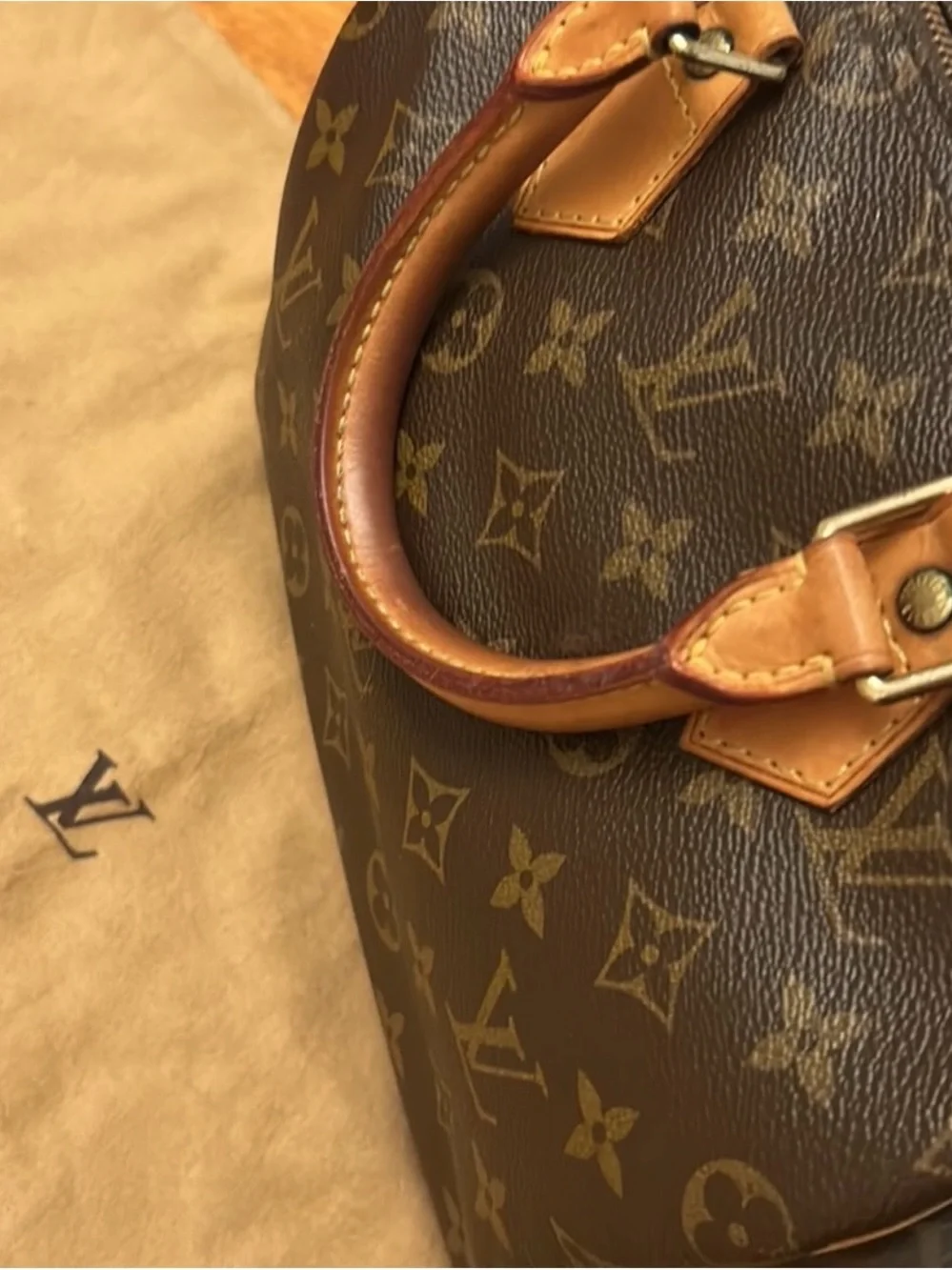 Louis Vuitton Speedy 25 monogram